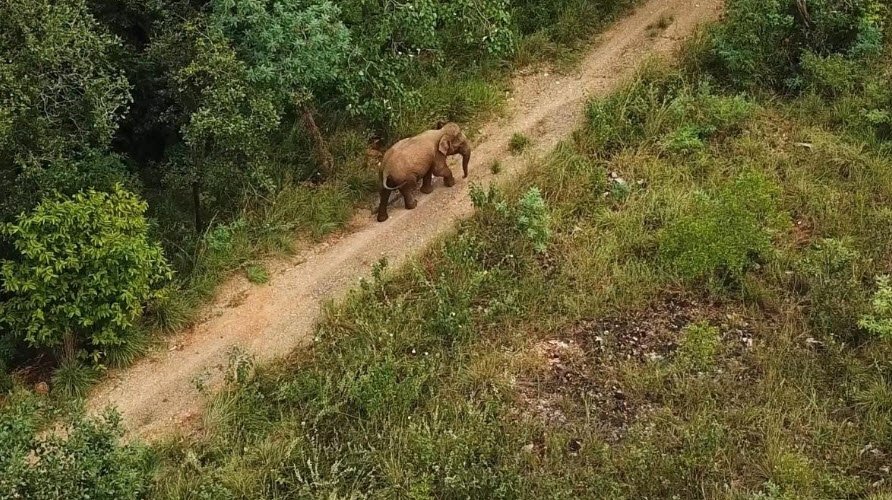 Koundinya Wildlife Sanctuary